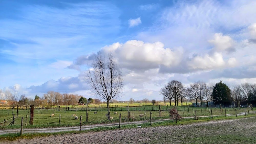 Smart Solar Energy beeld